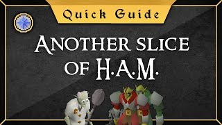 [Quick Guide] Another slice of H.A.M.