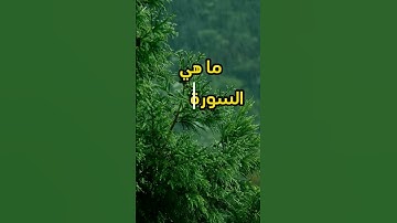 سورة تلقب بقلب القرآن