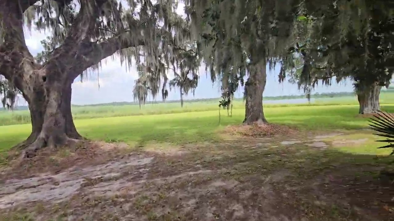 Mansfield Plantation Bed and Breakfast - Georgetown SC - Part 1 unedited footage