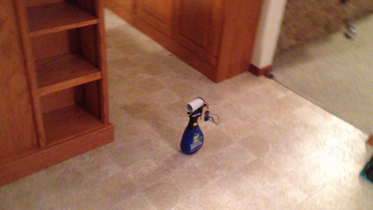 Automatic Cat Sprayer - YouTube