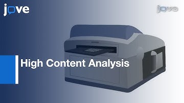 Neuronal & Astrocyte Co-Culture Assay For High Content Analysis: Neurotoxicity l Protocol Preview