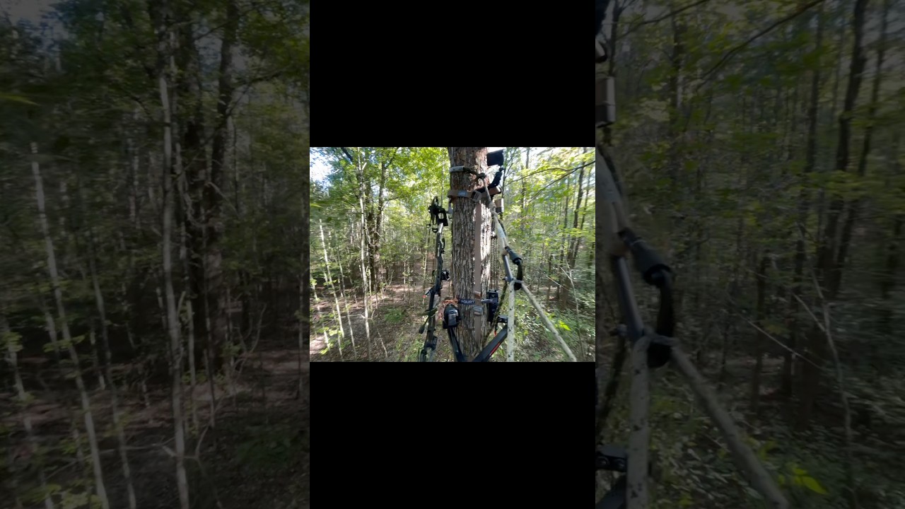 Things you can do in a saddle 