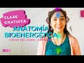 CLASE GRATUITA | CHAKRAS | Capas del AURA | Anatatomía bioenergética