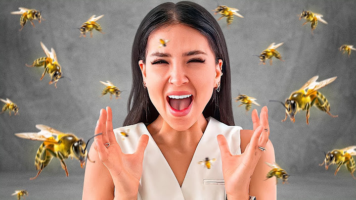 TE DOY DINERO SI VENCES TU FOBIA A LAS ABEJAS 🐝 ... PARTE 3