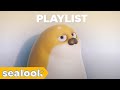 Playlist sealy vibes music sealook