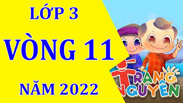Vòng 11, Trạng nguyên tiếng việt Lớp 3, Năm 2022