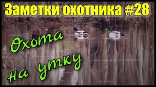 Охота. Заметки охотника #28. Охота на утку весной с манком и чучелами.