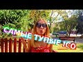 ТОП 4 ICO фэйлов | Рейтинг забавных проектов по версии Крипто Столицы