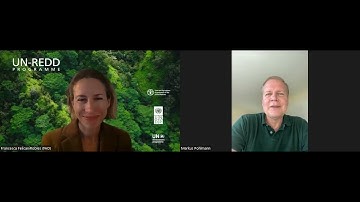 Carbon rights in the context of jurisdictional REDD+: Dr. Markus Pohlman