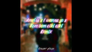 DJ Amelia x I wanna go x Bom ciki Remix - Reaper plays (Tiktok remix)