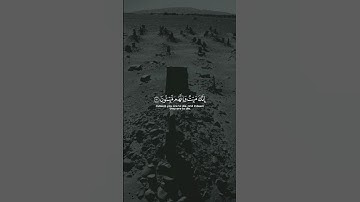 إِنَّكَ مَيِّتٌ وَإِنَّهُم مَّيِّتُونَ | القارئ : ماهر المعيقلي
