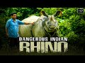 भारत में पाये जाते है यह खतरनाक गेंडे जो दुनिया में कहीं नहीं  | Dangerous Indian Rhino