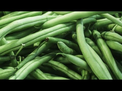 Allo Phalyian | Patato French Green Beans Vegetable | Desi Vegetable | آلو اور پھلیاں بنانے کا طریقہ