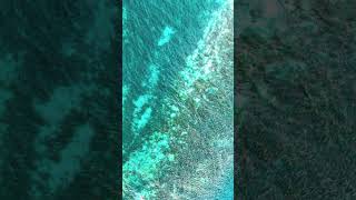 80% of the Ocean Is Still Unexplored 😱. #shorts #facts #ocean #viral #trending #infinitytrends