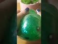 Squishy pets very relaxing squeezable recommended relaxation satisfying viral trendingjoetrend