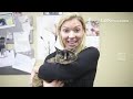 Pet of the week. For information of pet adoption, contact The Humane Society of Lebanon County, 150