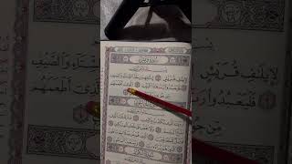 Surah quraysh - Egzon ibrahimi #surahquraysh #egzonibrahimi #tilawah