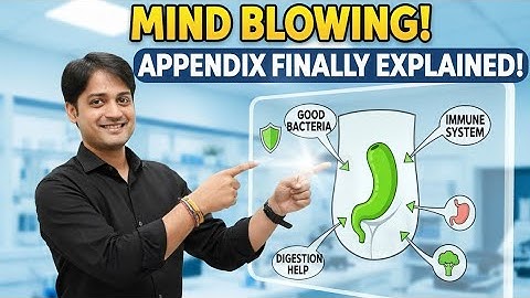 Functions Of Appendix | The Amazing Facts Of Science | 1