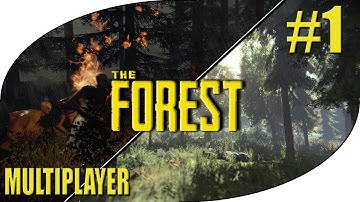 PLANE CRASH - Part 1 - The Forest Coop Multiplayer Alpha 0.37 Gameplay (Season 1)