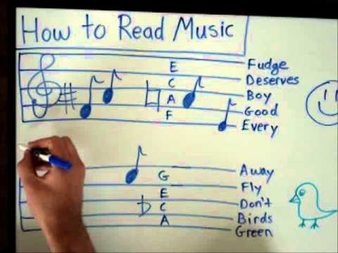 How To Read Music Basics For Beginners Music Theory Lesson Youtube