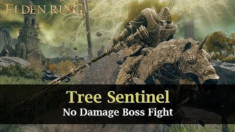 Tree Sentinel RL1 no hit no upgrades no AOW