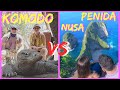NUSA PENIDA vs KOMODO! Which is better? TIPS-How to choose one. Indonesia and Bali-Travel guide.