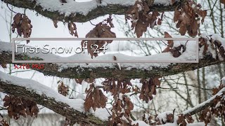 First Snow of 2024 Photography Journey