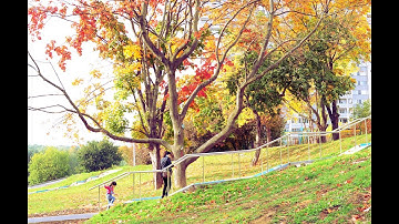 Bài giảng Học Sâu (Deep Learning)_Buổi 4_Giảng viên_TS. Đặng Thị Phúc