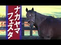 ナカヤマフェスタ Nakayama Festa