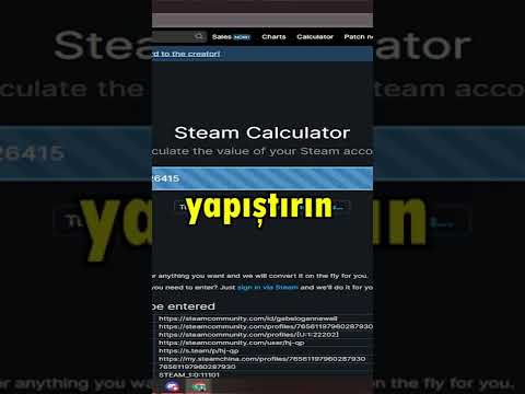 STEAM HESABININ DEĞERİNİ