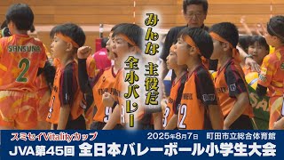 全日本バレーボール JAPAN mqdefault.jpg