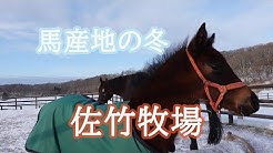 うまレター ネットで牧場見学 Youtube