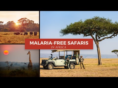 Video: Safaris sa Malaria-Free Areas of Africa