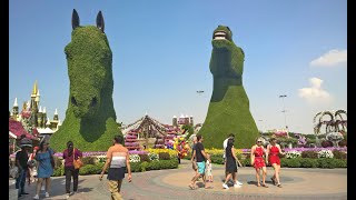 Exploring dubai miracle garden | 2020 ...