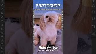 Photoshop 2026 Clone Stamp Tool Explained – Fast & Easy Editing Trick #photoshoprotrick