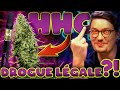 Hhc hhco hhcp  dangereux ou pas  cannabis lgal  avis et explications