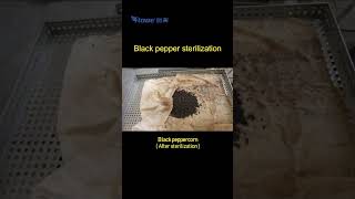 How to Sterilize Black Pepper | Black Pepper Sterilization Equipment | Spices Sterilizer Machine
