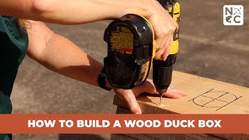How to Build A Wood Duck Box