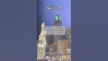 سورة الأنعام ٢٧  #quran #قران #قرآن #اكسبلور #قرآن_كريم #قرأن #قران_كريم