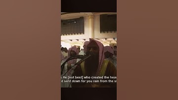 نور البصائر بترتيل جميل للقارئ: محمد اللحيدان حفظه الله.
