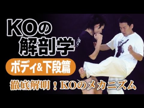 DVD>Dr.F:KOの解剖学ボディ&下段篇 Amazon.co.jp: Dr.F KOの解剖学ボディ&下段篇 [DVD] : Dr.F, Dr