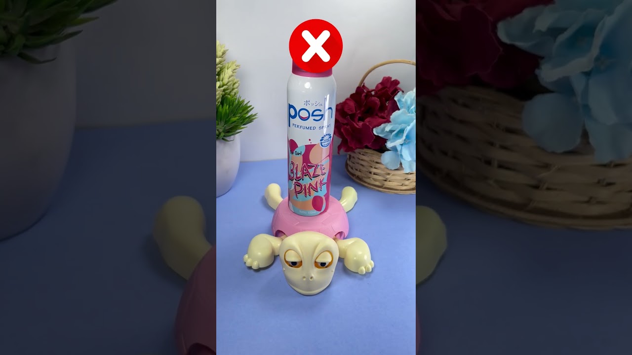 Turtle Coaster - Cute adorable turtles 