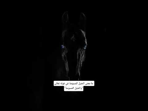 فهد البواردي جمعة مباركة اكسبلور معجزات تيك توك