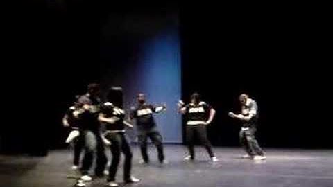 Alpha Psi Lambda - Rho Chapter stroll 2008