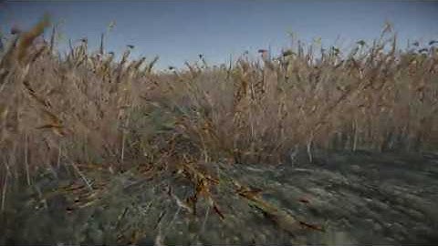 DirectX 11 dynamic vegetation system