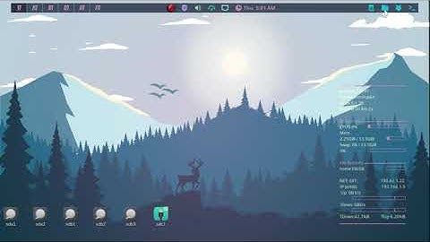 PuppyLinux JWM custom global themes by nilsonmorales