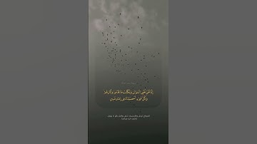 القارئ الشيخ عبدالله الموسى .