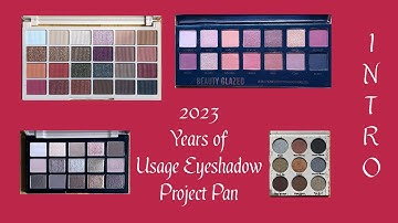 2023 Years of Usage Eyeshadow Project Pan | Intro