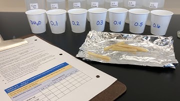 BI 112 Lab 4 Potato Osmolarity Experiment Set-Up