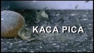 Helmy Sahetapy - KACA PICA